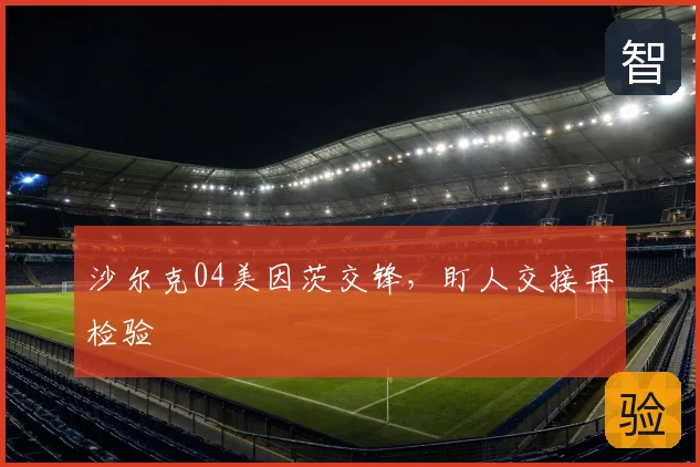 沙尔克04美因茨交锋，盯人交接再检验
