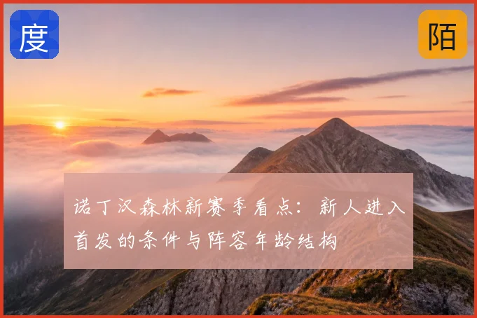 诺丁汉森林新赛季看点：新人进入首发的条件与阵容年龄结构